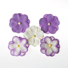 04 фиолетовый