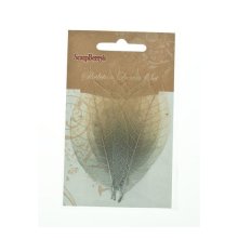 SCB300507 Скелетированные листочки из каучукового дерева, 2-цветный серебряный, упак./8 шт., ScrapBerry's